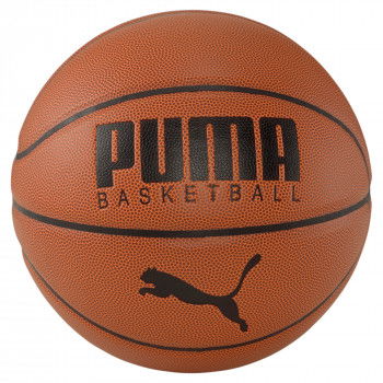 Puma Indoor Basketball