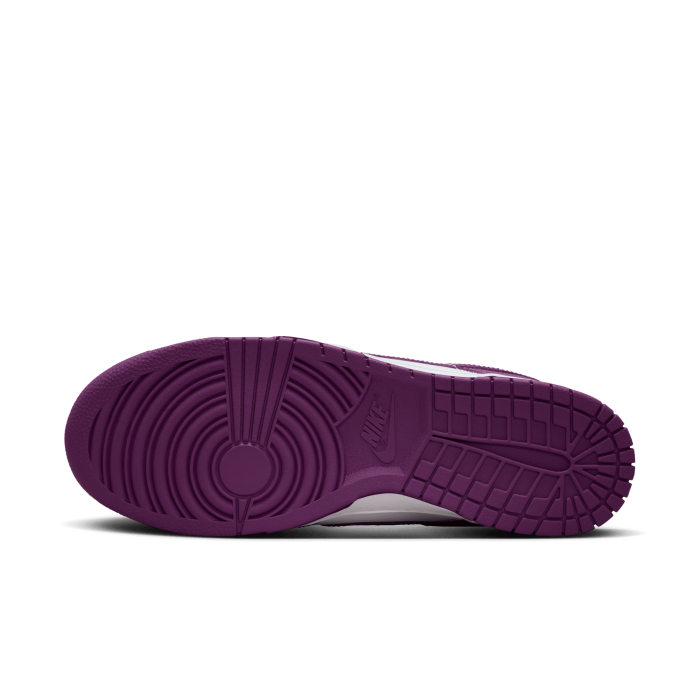 Nike Dunk Low Retro Viotech