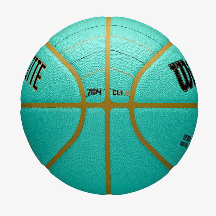 Wilson NBA Charlotte Hornets 2024/25 Stad Collector Bal